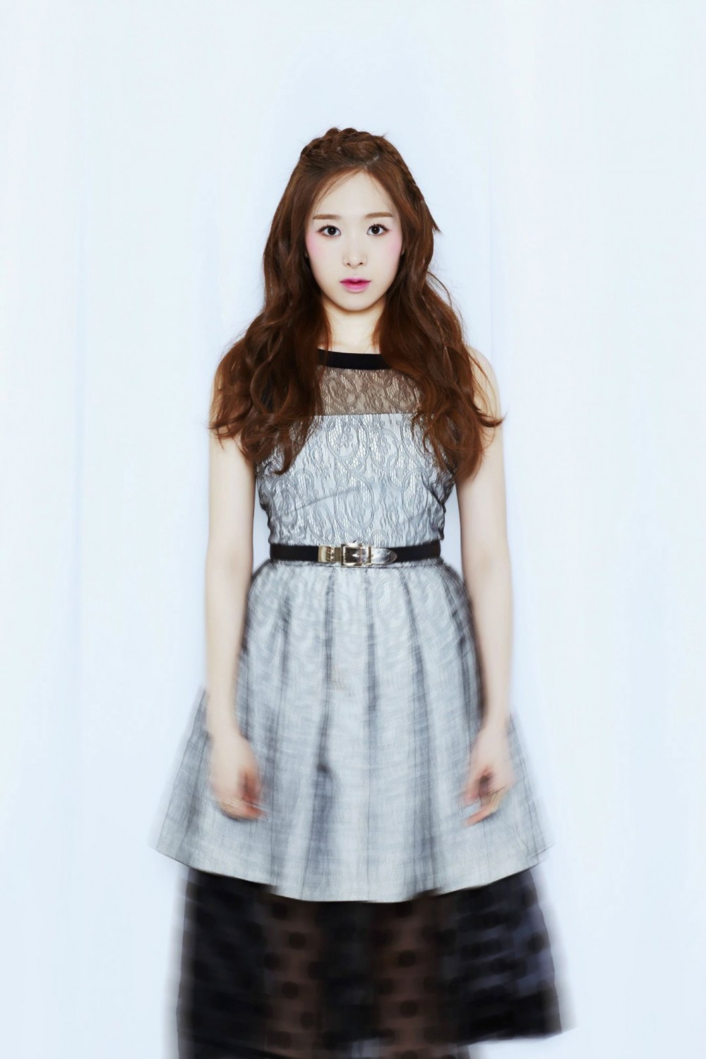 소나무  화보 고화질 사진