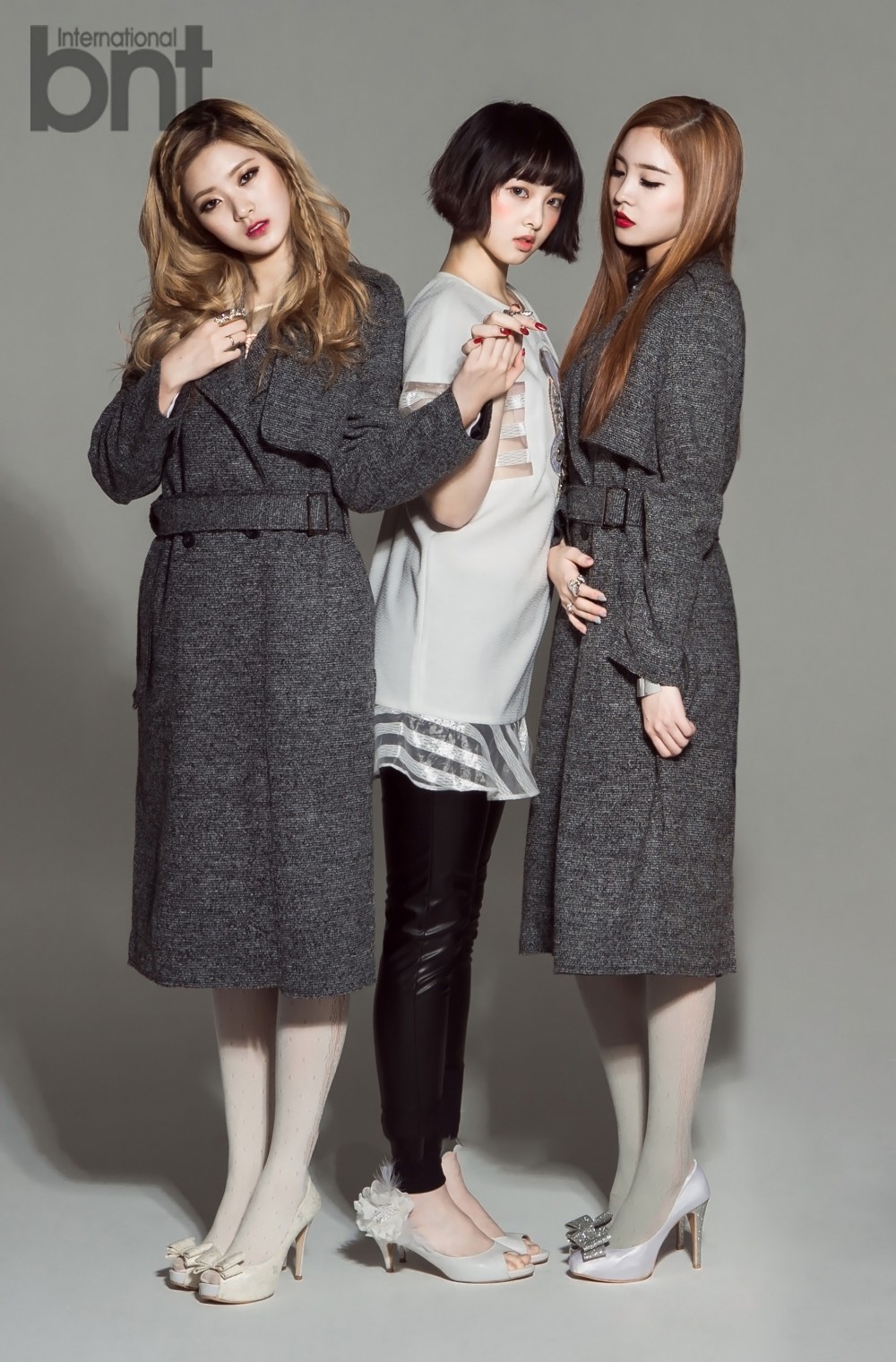 소나무  화보 고화질 사진