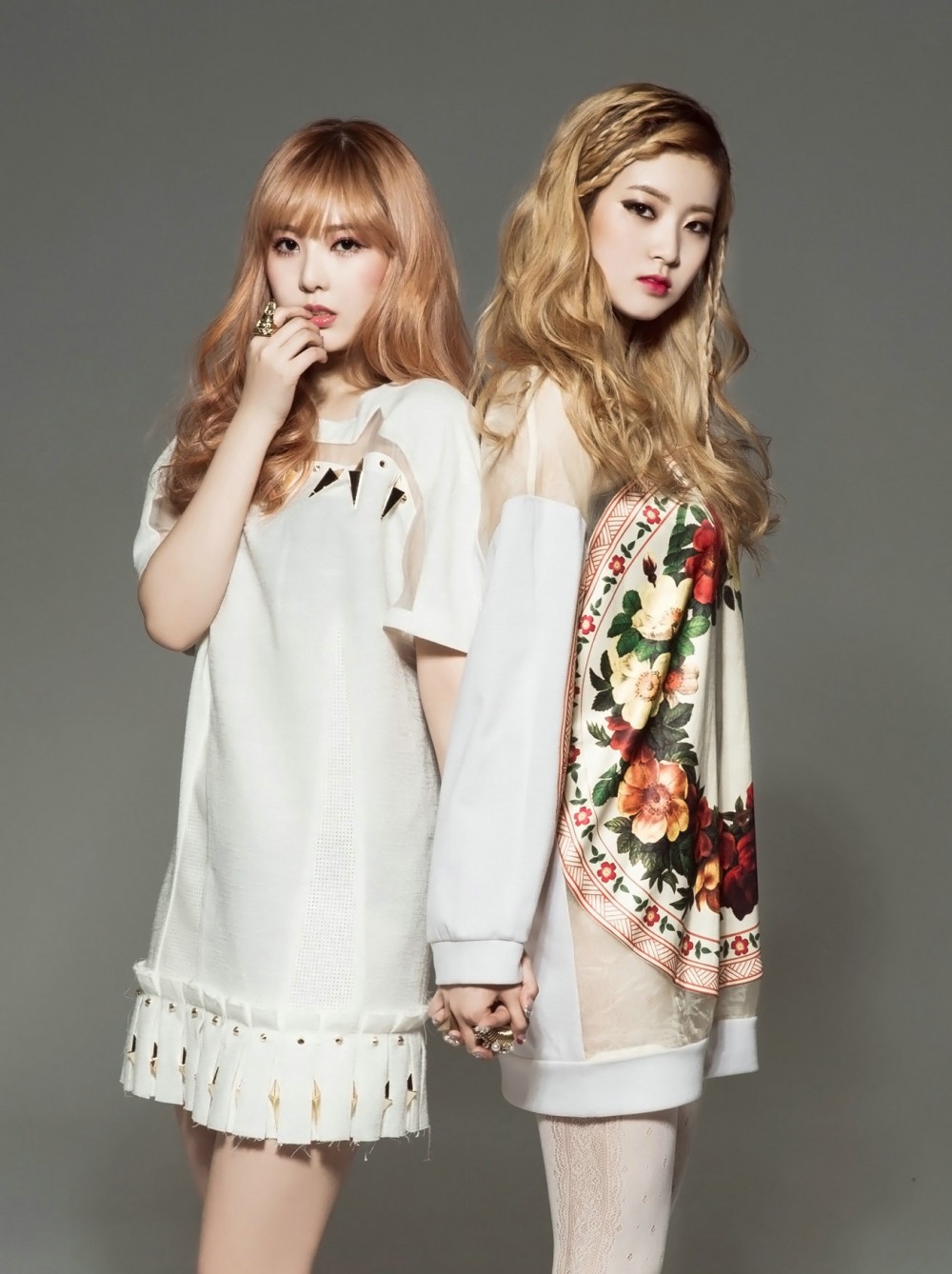 소나무  화보 고화질 사진