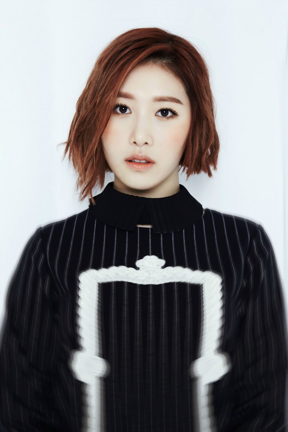 소나무  화보 고화질 사진