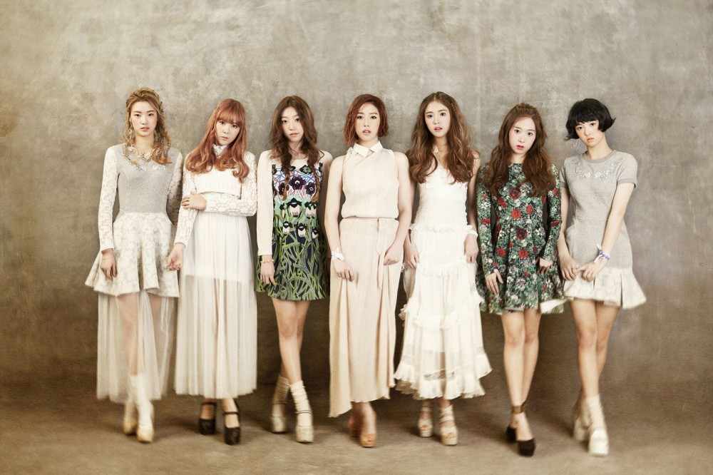 소나무  화보 고화질 사진