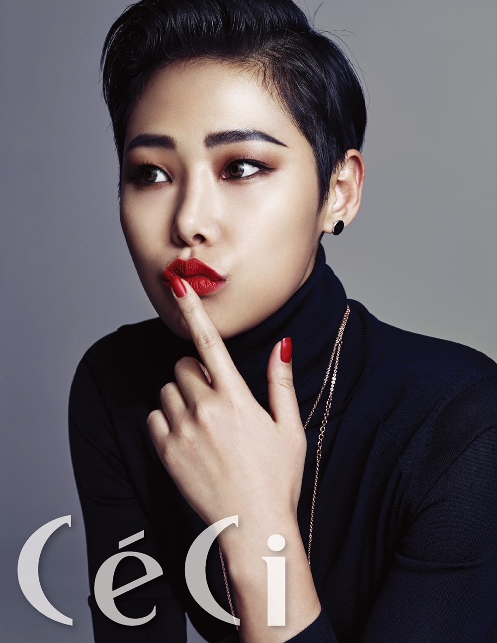 치타  화보 고화질 사진