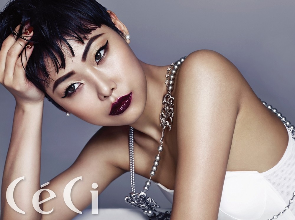 치타  화보 고화질 사진