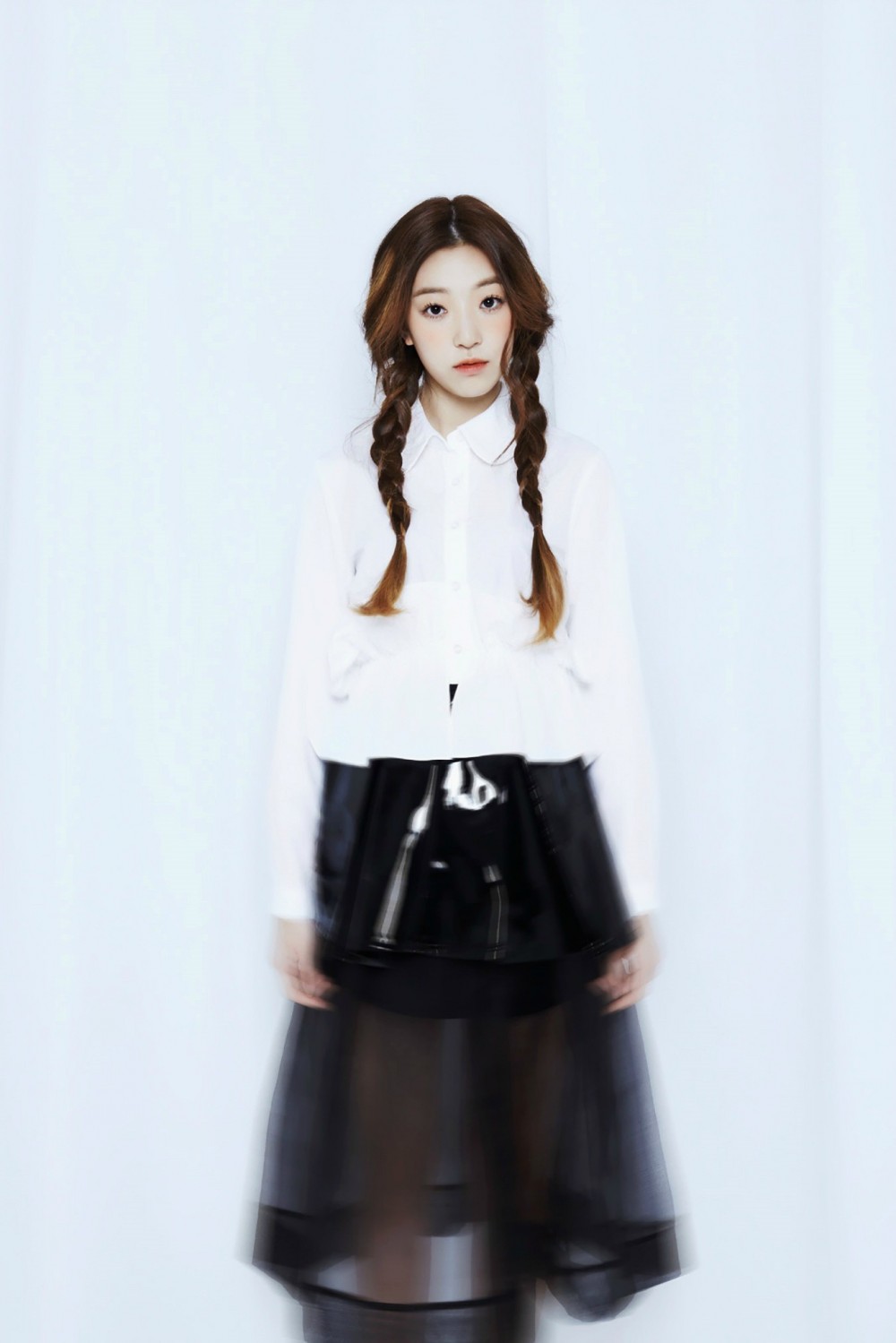 소나무  화보 고화질 사진