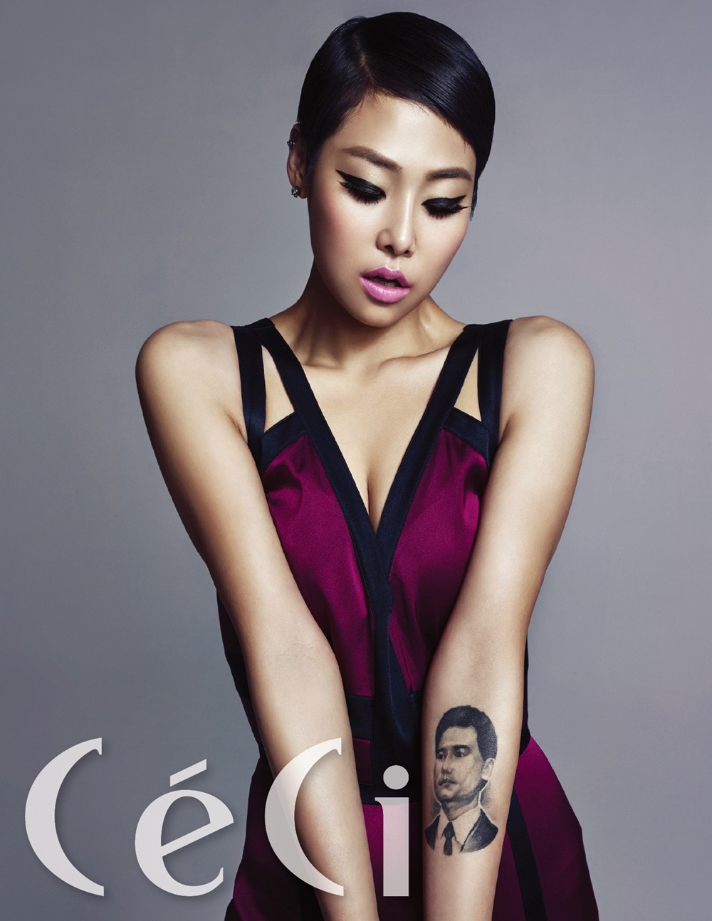 치타  화보 고화질 사진