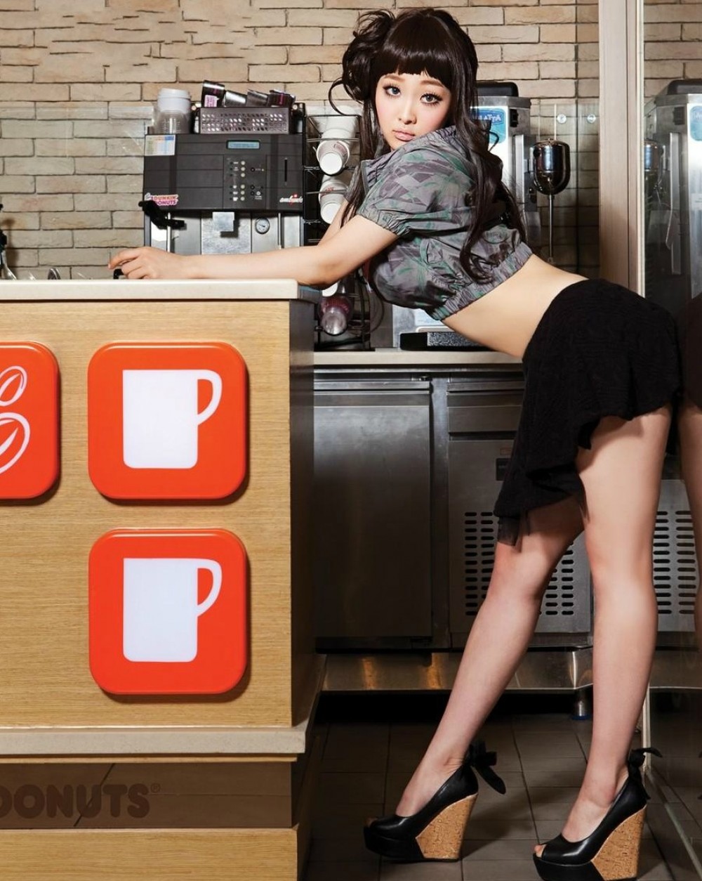 살찐 고양이  화보 고화질 사진