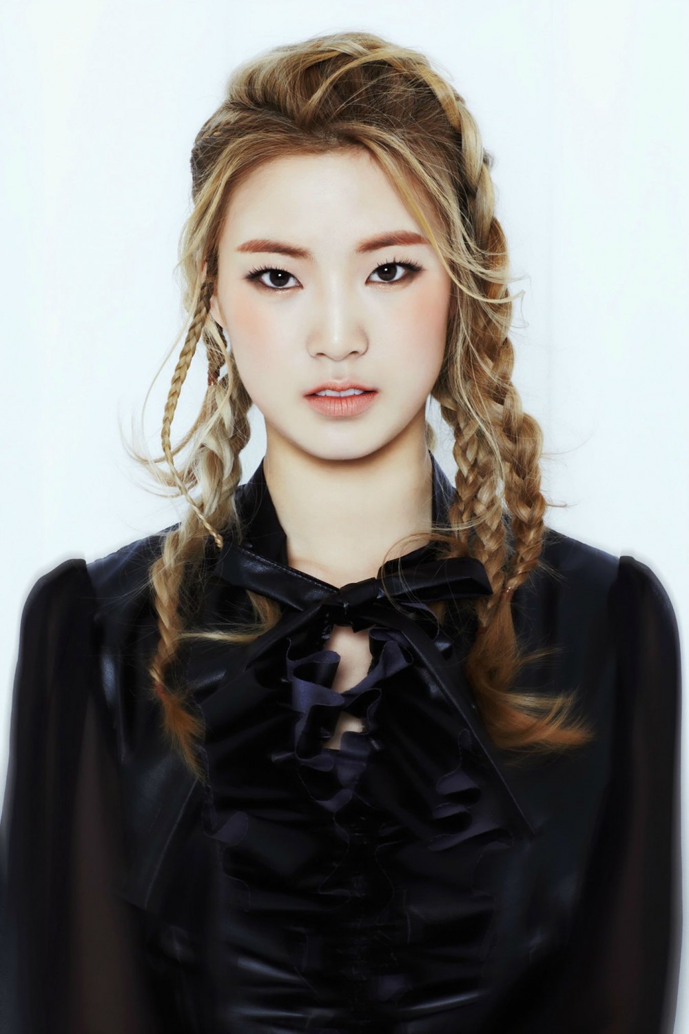 소나무  화보 고화질 사진