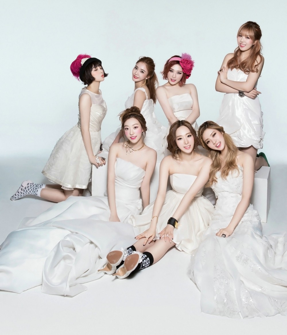 소나무  화보 고화질 사진