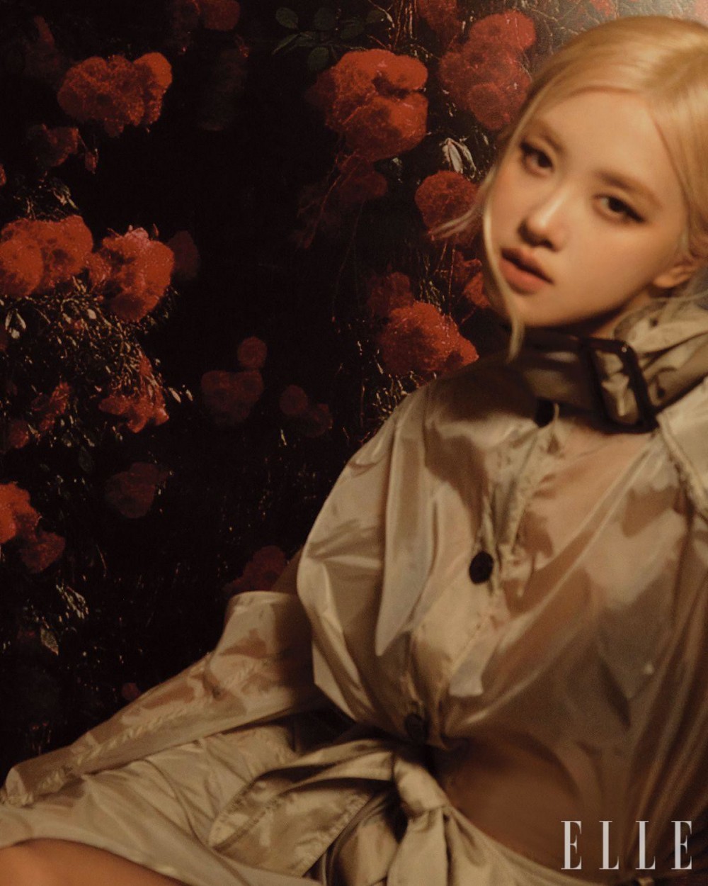 로제 엘르 화보 고화질 사진